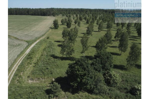 ostr&oacute;dzki, Miłomłyn, Działka w Osadzie nad Jeziorem Drwęckim