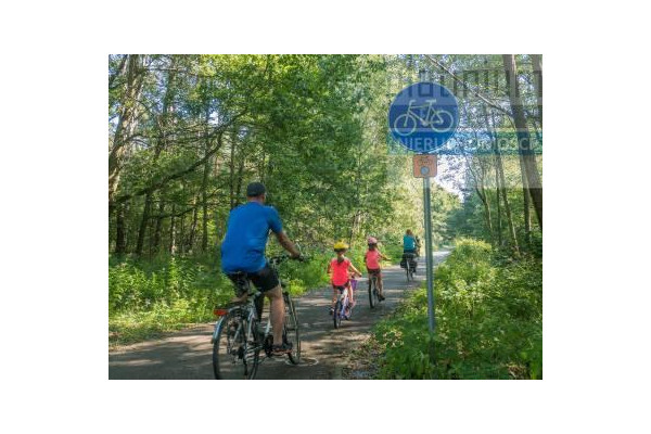 bialski, Biała Podlaska, Porosiuki, Dom Leśny z dużymi tarasami 60 m2 i antresolą