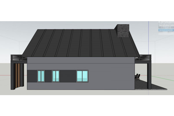 bialski, Biała Podlaska, Porosiuki, Dom Leśny od strony lasu z dwoma kominkami