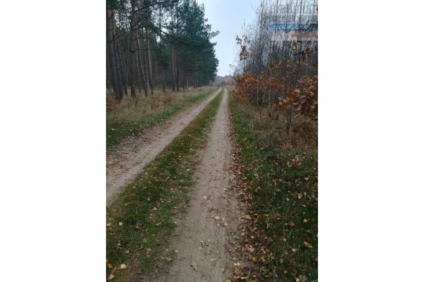 goleniowski, Osina, Działka inwestycyjna Osina
