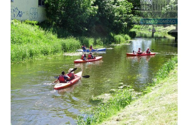 Biała Podlaska, Dom Nowoczesny z dużymi tarasami 54m2