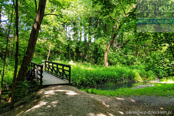 Biała Podlaska, Dom Nowoczesny z dużymi tarasami 54m2