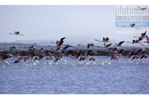 Santa Pola, Mieszkanie na sprzedaż